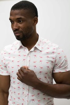 Guide London Flamingo Print Short Sleeve Shirt